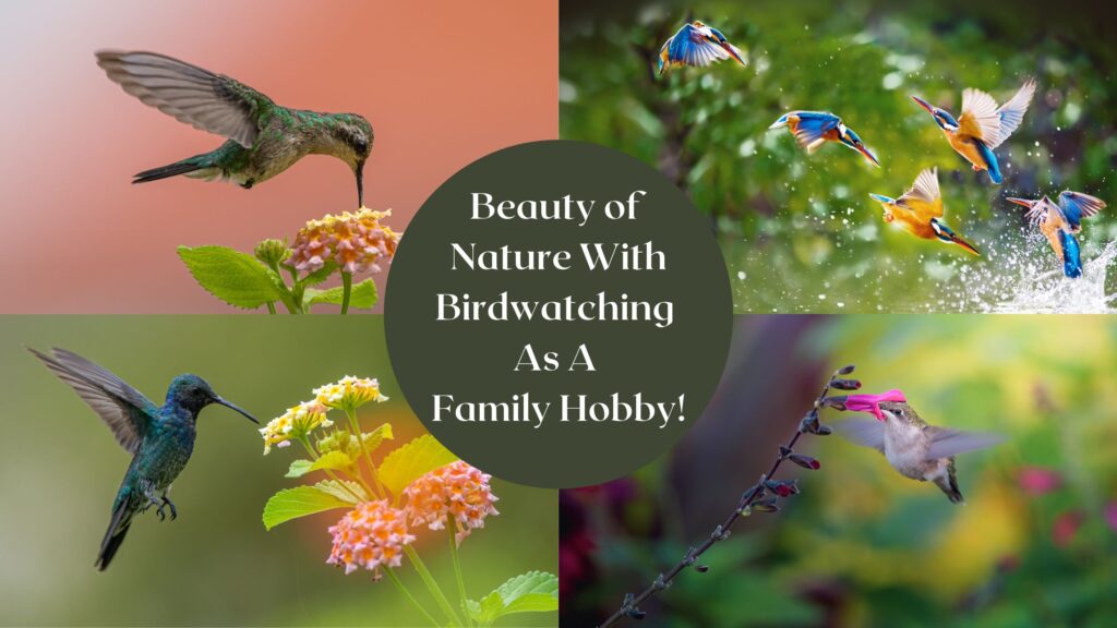 Beauty of Nature With Birdwatching As A Family Hobby!